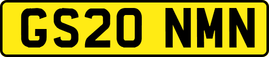 GS20NMN