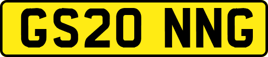 GS20NNG