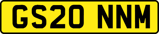 GS20NNM