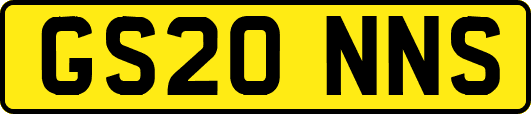 GS20NNS