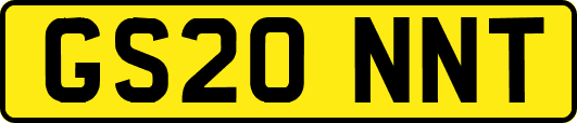 GS20NNT