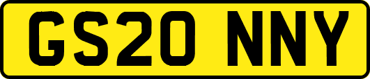 GS20NNY