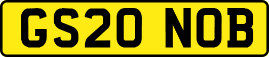GS20NOB