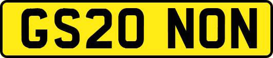 GS20NON