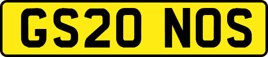 GS20NOS