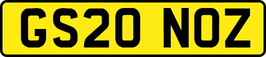 GS20NOZ