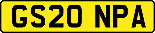GS20NPA