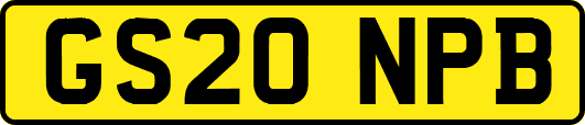 GS20NPB