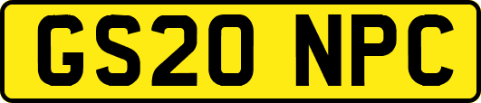 GS20NPC