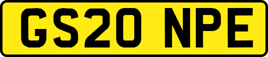 GS20NPE