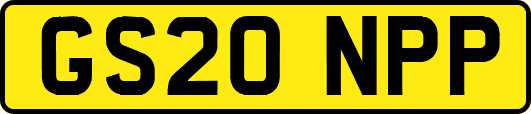 GS20NPP
