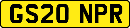 GS20NPR