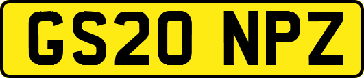 GS20NPZ