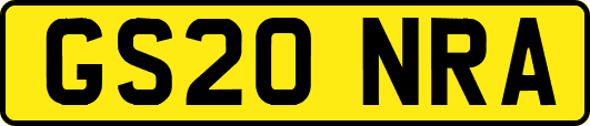 GS20NRA