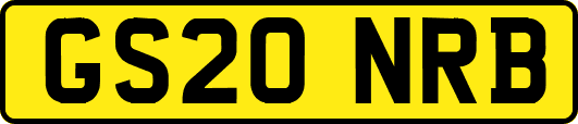GS20NRB