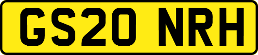 GS20NRH