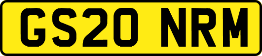 GS20NRM