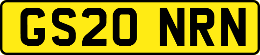 GS20NRN