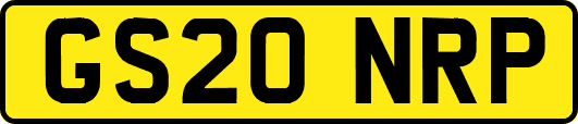 GS20NRP