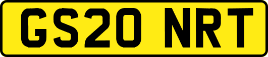 GS20NRT