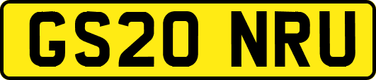 GS20NRU