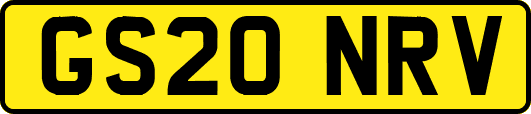 GS20NRV