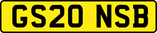GS20NSB