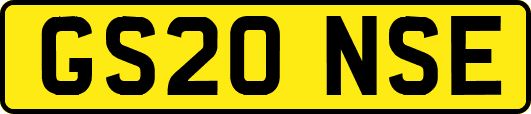 GS20NSE