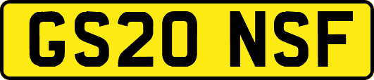 GS20NSF