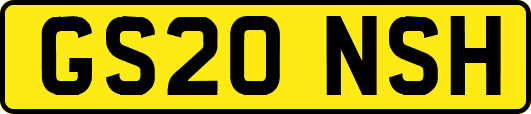 GS20NSH