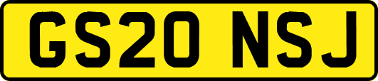 GS20NSJ