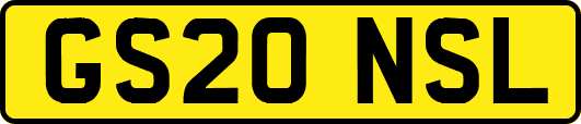 GS20NSL