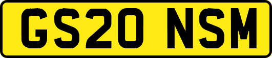 GS20NSM