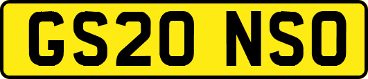 GS20NSO