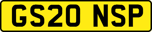 GS20NSP