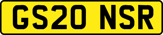 GS20NSR