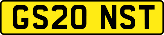 GS20NST