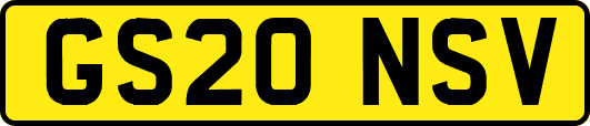 GS20NSV