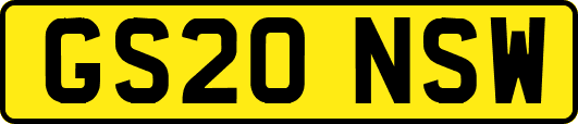 GS20NSW