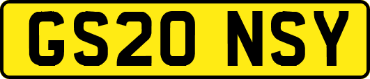 GS20NSY
