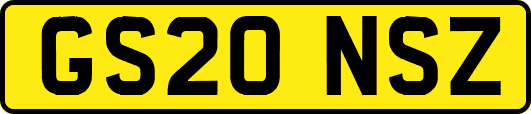 GS20NSZ