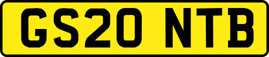 GS20NTB