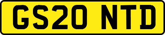 GS20NTD