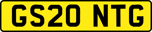 GS20NTG