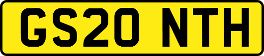 GS20NTH