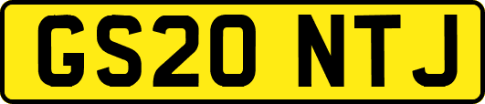GS20NTJ