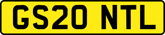 GS20NTL