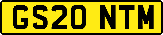 GS20NTM