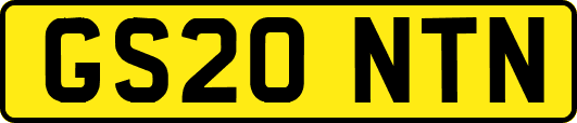 GS20NTN