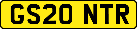 GS20NTR